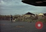Image of sentry dogs Tan Son Nhut Air Force Base Vietnam, 1965, second 24 stock footage video 65675028504