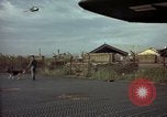 Image of sentry dogs Tan Son Nhut Air Force Base Vietnam, 1965, second 26 stock footage video 65675028504