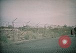 Image of sentry dogs Tan Son Nhut Air Force Base Vietnam, 1965, second 32 stock footage video 65675028504