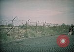 Image of sentry dogs Tan Son Nhut Air Force Base Vietnam, 1965, second 33 stock footage video 65675028504