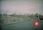 Image of sentry dogs Tan Son Nhut Air Force Base Vietnam, 1965, second 38 stock footage video 65675028504