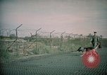 Image of sentry dogs Tan Son Nhut Air Force Base Vietnam, 1965, second 40 stock footage video 65675028504