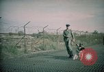 Image of sentry dogs Tan Son Nhut Air Force Base Vietnam, 1965, second 46 stock footage video 65675028504