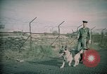 Image of sentry dogs Tan Son Nhut Air Force Base Vietnam, 1965, second 48 stock footage video 65675028504