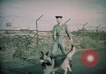 Image of sentry dogs Tan Son Nhut Air Force Base Vietnam, 1965, second 50 stock footage video 65675028504