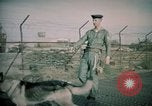 Image of sentry dogs Tan Son Nhut Air Force Base Vietnam, 1965, second 51 stock footage video 65675028504