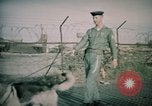 Image of sentry dogs Tan Son Nhut Air Force Base Vietnam, 1965, second 52 stock footage video 65675028504