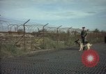 Image of sentry dogs Tan Son Nhut Air Force Base Vietnam, 1965, second 57 stock footage video 65675028504