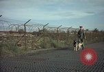 Image of sentry dogs Tan Son Nhut Air Force Base Vietnam, 1965, second 58 stock footage video 65675028504