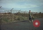 Image of sentry dogs Tan Son Nhut Air Force Base Vietnam, 1965, second 60 stock footage video 65675028504