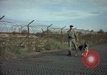 Image of sentry dogs Tan Son Nhut Air Force Base Vietnam, 1965, second 61 stock footage video 65675028504