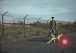 Image of sentry dogs Tan Son Nhut Air Force Base Vietnam, 1965, second 62 stock footage video 65675028504