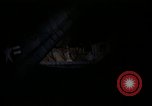 Image of sentry dogs Tan Son Nhut Air Force Base Vietnam, 1965, second 3 stock footage video 65675028505