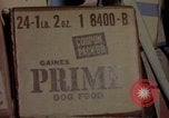 Image of sentry dogs Tan Son Nhut Air Force Base Vietnam, 1965, second 20 stock footage video 65675028505