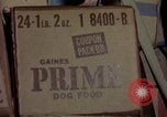 Image of sentry dogs Tan Son Nhut Air Force Base Vietnam, 1965, second 21 stock footage video 65675028505