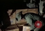 Image of sentry dogs Tan Son Nhut Air Force Base Vietnam, 1965, second 54 stock footage video 65675028505