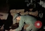 Image of sentry dogs Tan Son Nhut Air Force Base Vietnam, 1965, second 56 stock footage video 65675028505