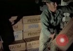 Image of sentry dogs Tan Son Nhut Air Force Base Vietnam, 1965, second 57 stock footage video 65675028505