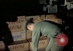 Image of sentry dogs Tan Son Nhut Air Force Base Vietnam, 1965, second 58 stock footage video 65675028505