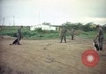 Image of sentry dog patrolling field Tan Son Nhut Air Force Base Vietnam, 1965, second 3 stock footage video 65675028506