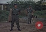 Image of sentry dog patrolling field Tan Son Nhut Air Force Base Vietnam, 1965, second 13 stock footage video 65675028506