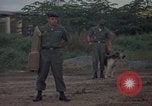 Image of sentry dog patrolling field Tan Son Nhut Air Force Base Vietnam, 1965, second 14 stock footage video 65675028506