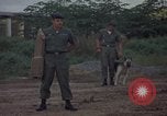 Image of sentry dog patrolling field Tan Son Nhut Air Force Base Vietnam, 1965, second 15 stock footage video 65675028506