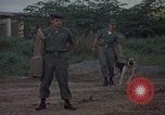 Image of sentry dog patrolling field Tan Son Nhut Air Force Base Vietnam, 1965, second 16 stock footage video 65675028506
