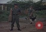 Image of sentry dog patrolling field Tan Son Nhut Air Force Base Vietnam, 1965, second 17 stock footage video 65675028506