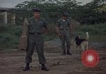 Image of sentry dog patrolling field Tan Son Nhut Air Force Base Vietnam, 1965, second 19 stock footage video 65675028506