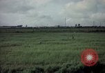 Image of sentry dog patrolling field Tan Son Nhut Air Force Base Vietnam, 1965, second 26 stock footage video 65675028506