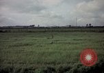 Image of sentry dog patrolling field Tan Son Nhut Air Force Base Vietnam, 1965, second 35 stock footage video 65675028506