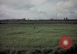 Image of sentry dog patrolling field Tan Son Nhut Air Force Base Vietnam, 1965, second 37 stock footage video 65675028506