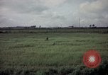 Image of sentry dog patrolling field Tan Son Nhut Air Force Base Vietnam, 1965, second 39 stock footage video 65675028506