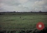 Image of sentry dog patrolling field Tan Son Nhut Air Force Base Vietnam, 1965, second 41 stock footage video 65675028506