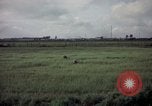 Image of sentry dog patrolling field Tan Son Nhut Air Force Base Vietnam, 1965, second 43 stock footage video 65675028506