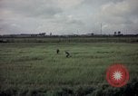 Image of sentry dog patrolling field Tan Son Nhut Air Force Base Vietnam, 1965, second 44 stock footage video 65675028506