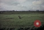 Image of sentry dog patrolling field Tan Son Nhut Air Force Base Vietnam, 1965, second 45 stock footage video 65675028506