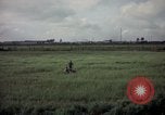 Image of sentry dog patrolling field Tan Son Nhut Air Force Base Vietnam, 1965, second 46 stock footage video 65675028506