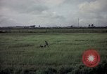 Image of sentry dog patrolling field Tan Son Nhut Air Force Base Vietnam, 1965, second 47 stock footage video 65675028506