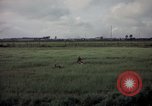 Image of sentry dog patrolling field Tan Son Nhut Air Force Base Vietnam, 1965, second 57 stock footage video 65675028506