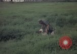 Image of sentry dog patrolling field Tan Son Nhut Air Force Base Vietnam, 1965, second 60 stock footage video 65675028506