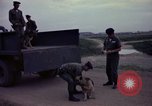 Image of sentry dogs Tan Son Nhut Air Force Base Vietnam, 1965, second 31 stock footage video 65675028507