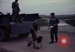 Image of sentry dogs Tan Son Nhut Air Force Base Vietnam, 1965, second 32 stock footage video 65675028507