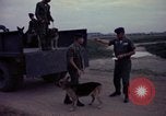 Image of sentry dogs Tan Son Nhut Air Force Base Vietnam, 1965, second 33 stock footage video 65675028507