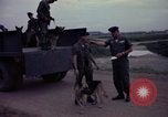 Image of sentry dogs Tan Son Nhut Air Force Base Vietnam, 1965, second 34 stock footage video 65675028507