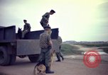 Image of sentry dogs Tan Son Nhut Air Force Base Vietnam, 1965, second 51 stock footage video 65675028507