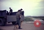 Image of sentry dogs Tan Son Nhut Air Force Base Vietnam, 1965, second 53 stock footage video 65675028507