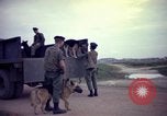 Image of sentry dogs Tan Son Nhut Air Force Base Vietnam, 1965, second 55 stock footage video 65675028507
