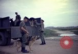 Image of sentry dogs Tan Son Nhut Air Force Base Vietnam, 1965, second 56 stock footage video 65675028507